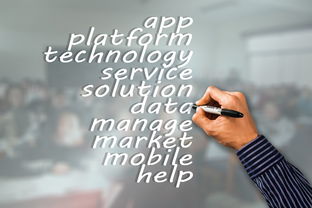 开云官方平台-瑞典队未来：如何建立更具竞争力的国际品牌，瑞典队分析