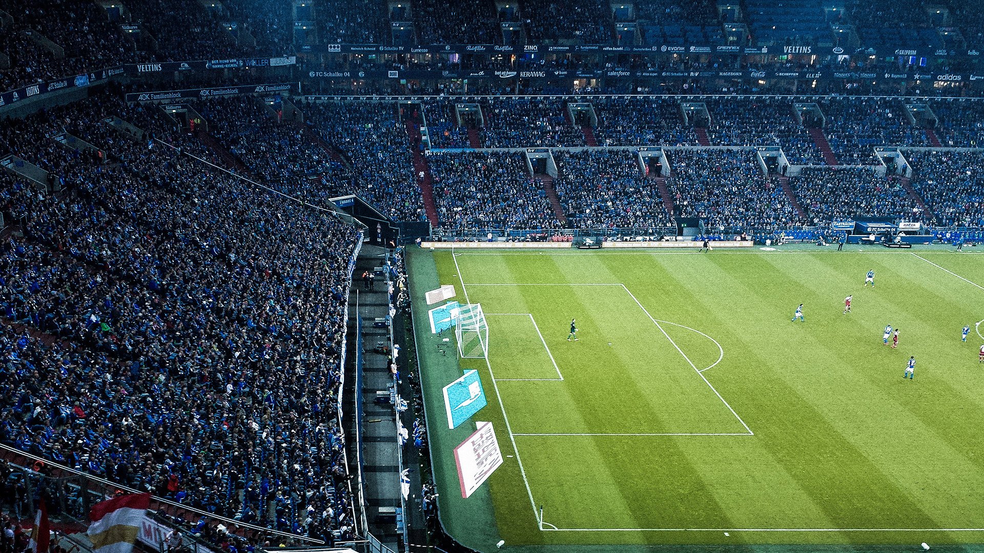 自由搏击教学视频进入教育短视频平台，自由搏击教学app